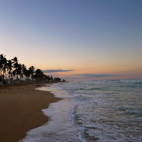 Meet your Posher, Ava - Picture 1 of 1